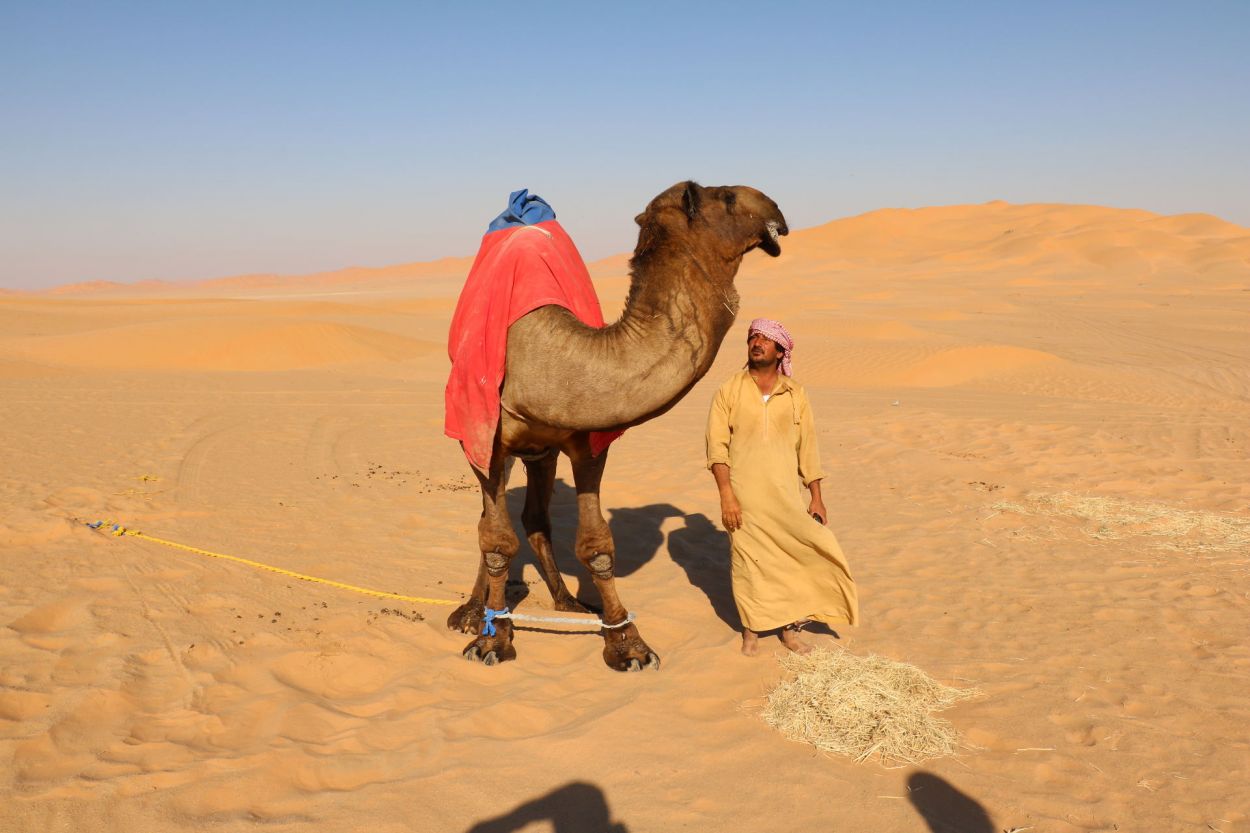 Bedouin and his camel in the desert of Rub Al Khali