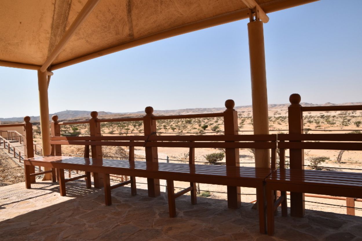 Wadi dawka reserve of incense trees