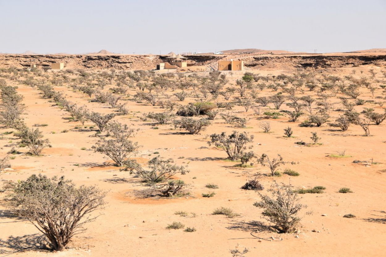 Region is classified by Unesco "Land of Incense"